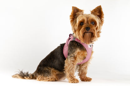 Vest Harness curli Clasp Air Mesh - Rose