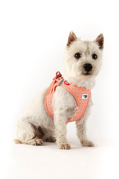 Vest Harness curli Clasp Air Mesh SE22 - Coral