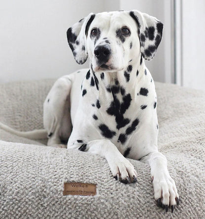 Dog cushion cloud shaggy - grey/white