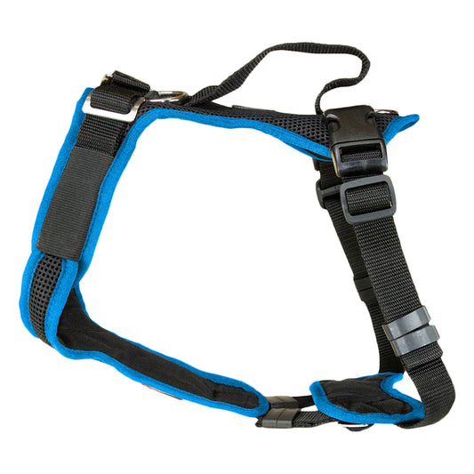 Vary Harness - Bordeaux/Black