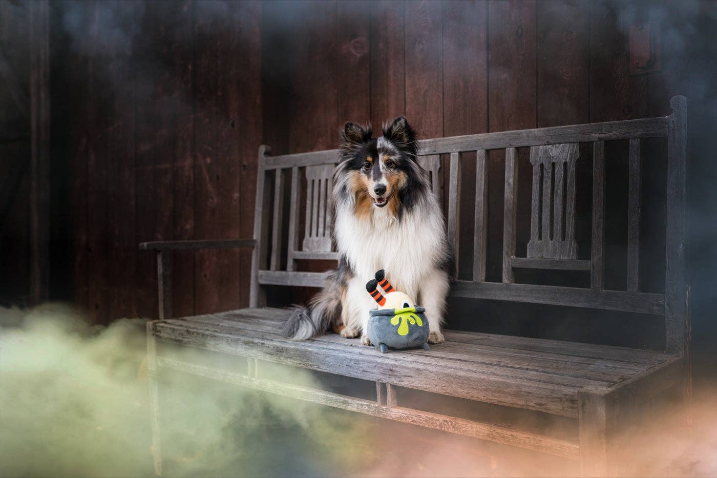 Hundespielzeug Spukwelpen-Trank