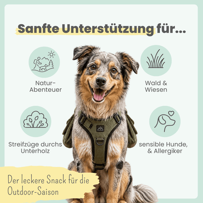 Z-Complex for Dogs: Delicious Soft Snack for Forest & Field