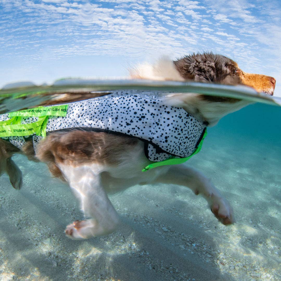 Hunde-Schwimmweste Jackson