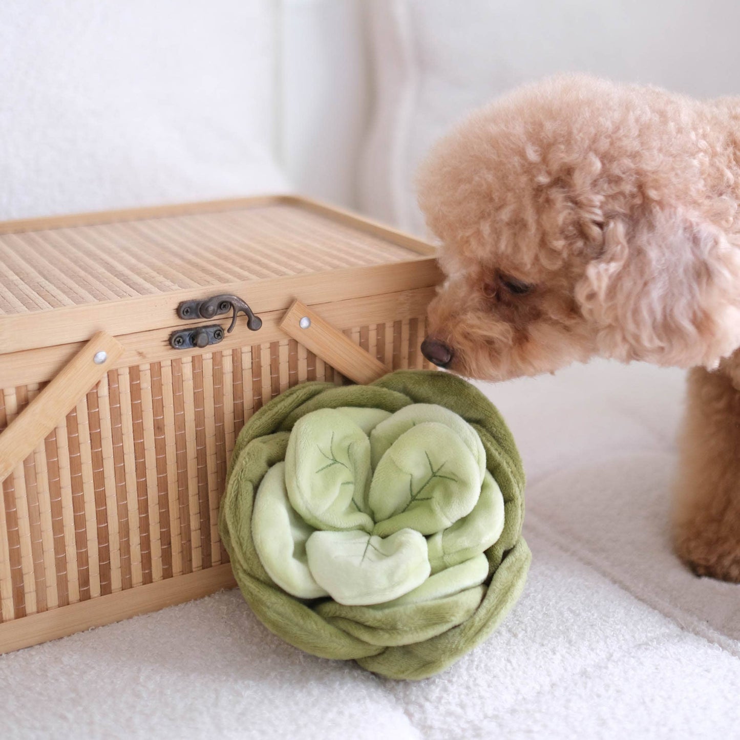 Sniffing toy - Sniffing cabbage