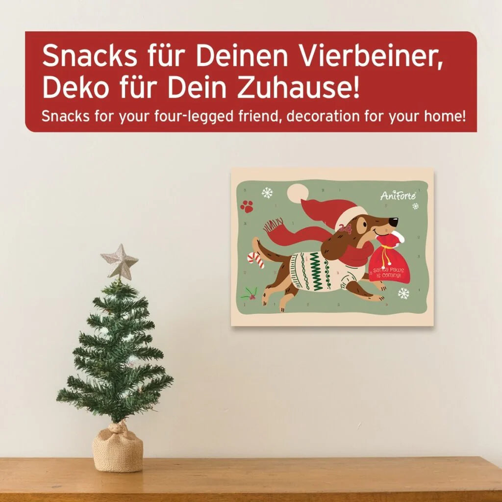 Adventskalender Aniforte 2025 für Hunde