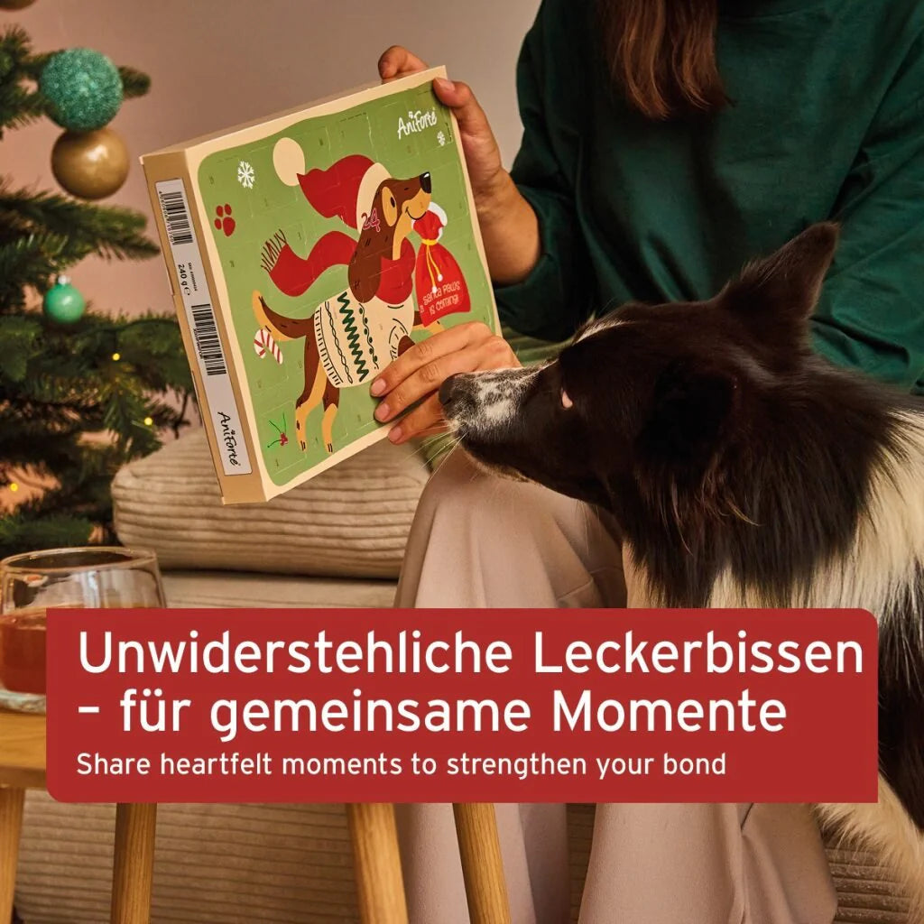 Adventskalender Aniforte 2025 für Hunde