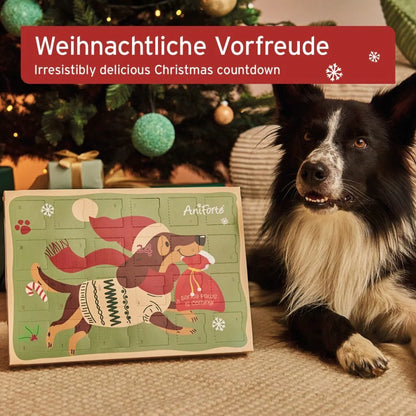 Adventskalender Aniforte 2025 für Hunde