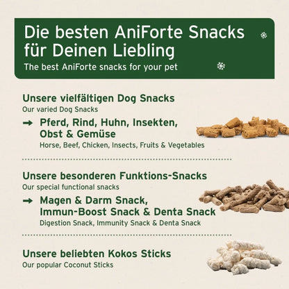Aniforte Advent Calendar 2026 for Dogs