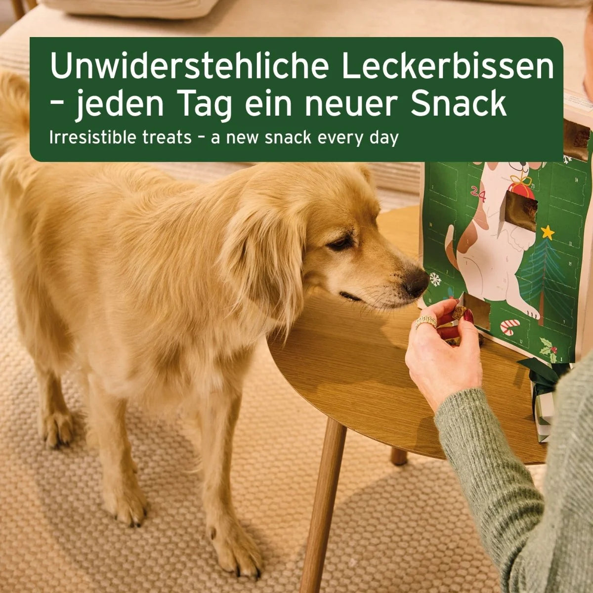 Aniforte Advent Calendar 2026 for Dogs