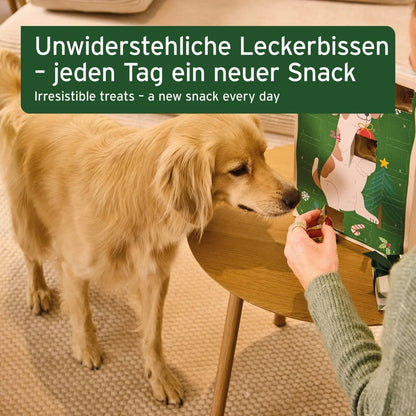 Aniforte Advent Calendar 2026 for Dogs