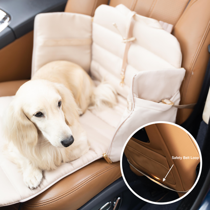 Convertible carrier bag for dogs