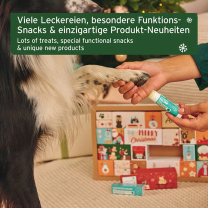 AniForte Premium Adventskalender für Hunde