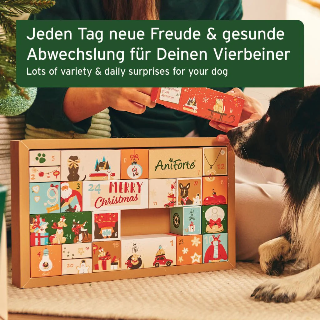 AniForte Premium Adventskalender für Hunde