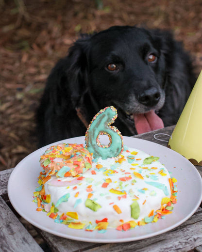 Unicorn Sparkles - hundefreundliche Streusel für Kuchen und Speisen