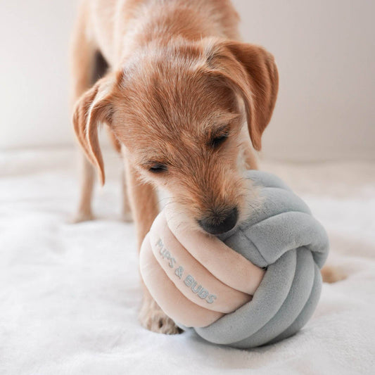 Sniffing toy - sniffing knot