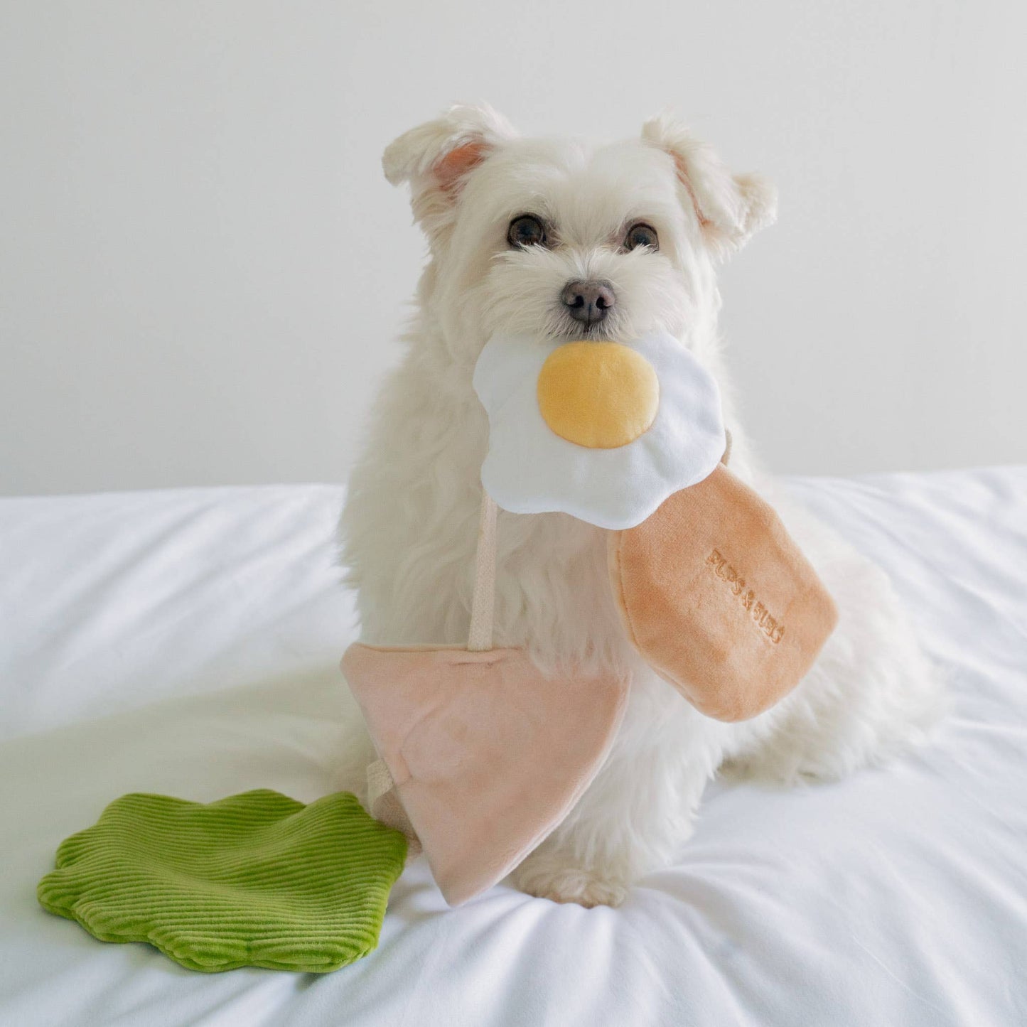 Schnüffelspielzeug - Wrap