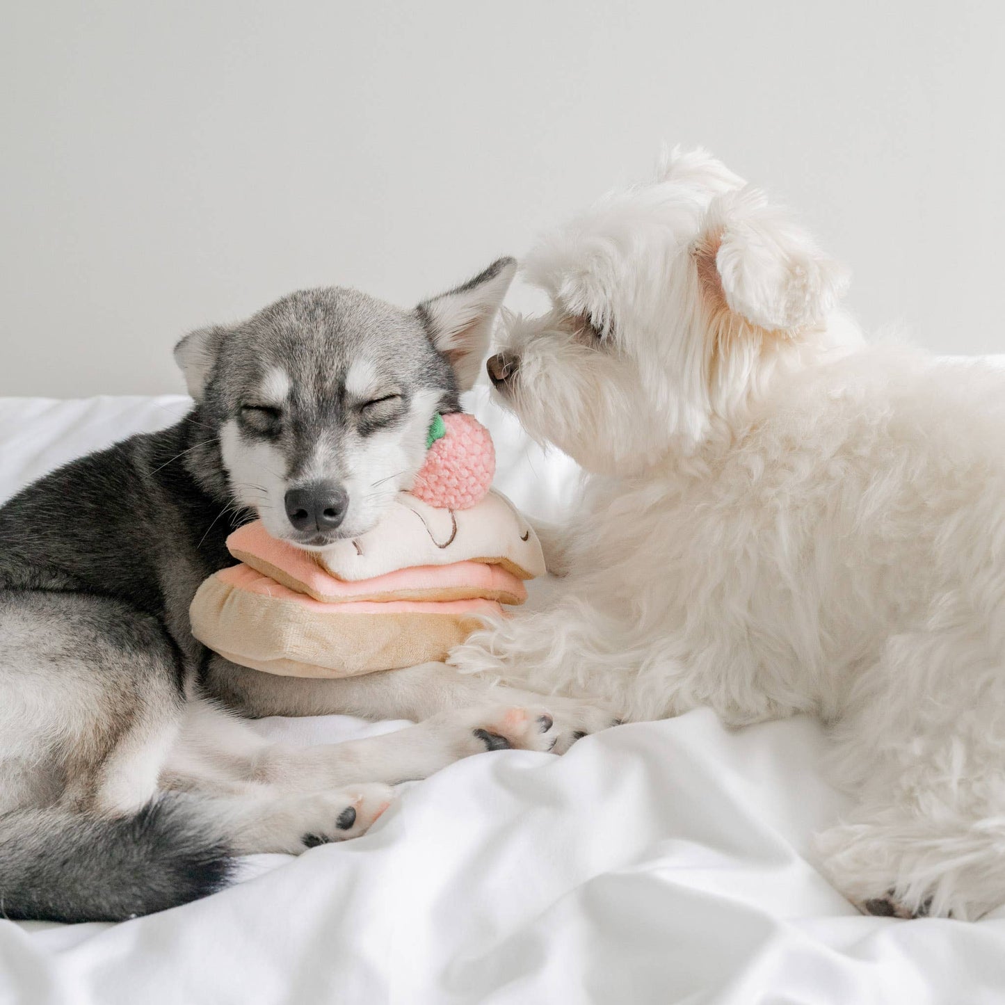 Sniffing toy - Strawberry Mille-Feuille