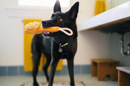 Hundespielzeug "Splish Splash" – Bürste