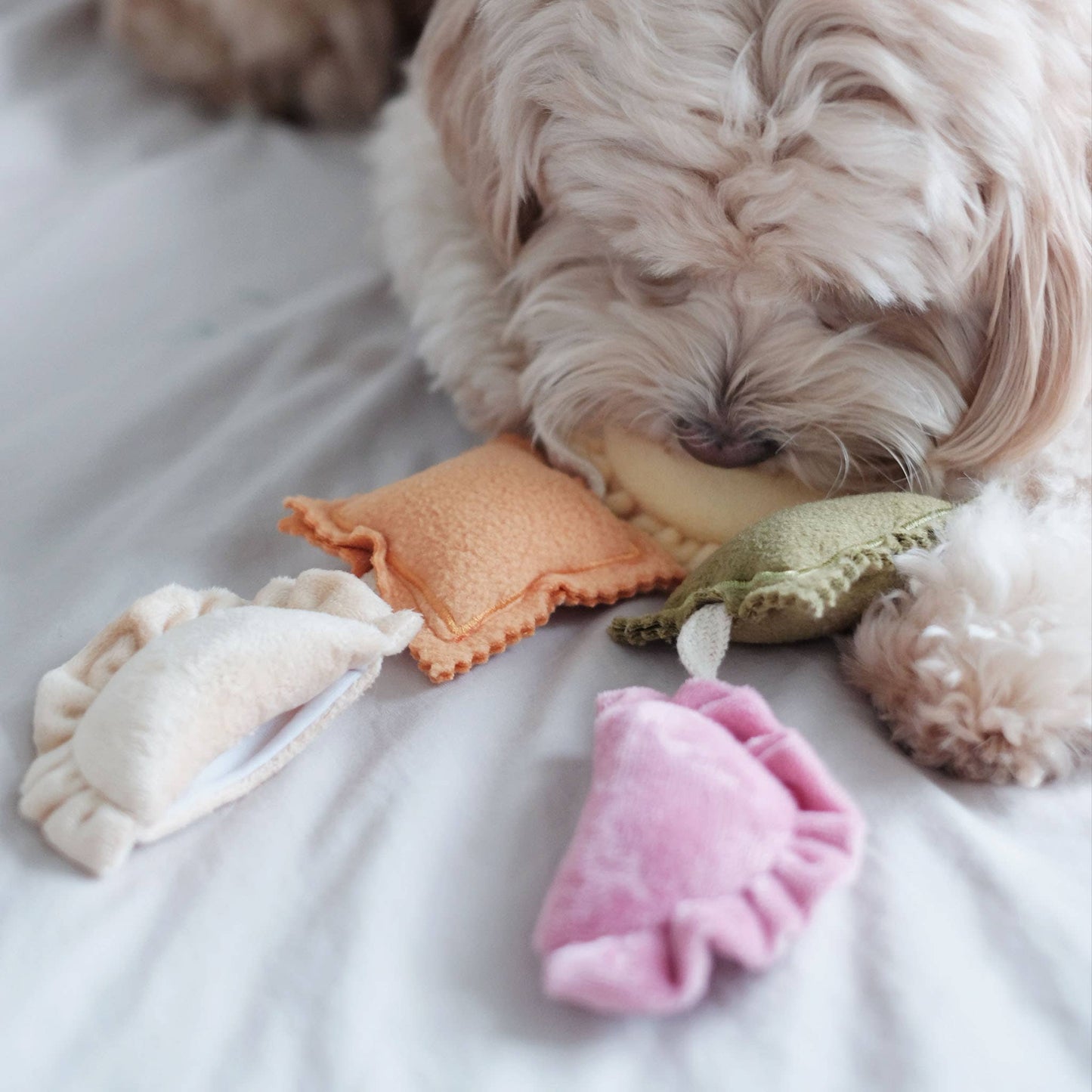 Sniffing toy - Ravioli