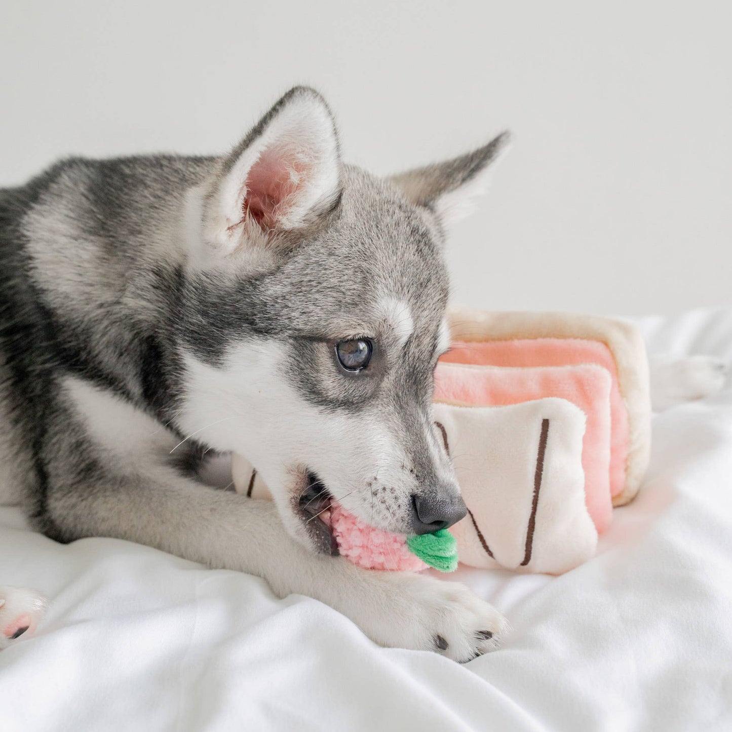 Sniffing toy - Strawberry Mille-Feuille