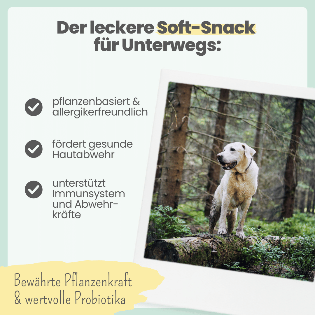 Z-Complex for Dogs: Delicious Soft Snack for Forest & Field