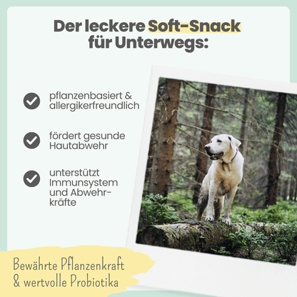 Z-Complex for Dogs: Delicious Soft Snack for Forest & Field