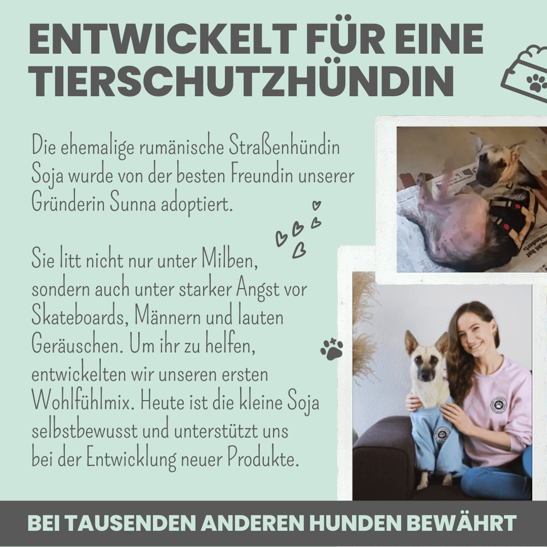 Wohlfühlsnacks für Hunde bei Stress, Angst & Unruhe