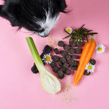 Darmpflege Drops - Ergänzungs-Snack für Hunde