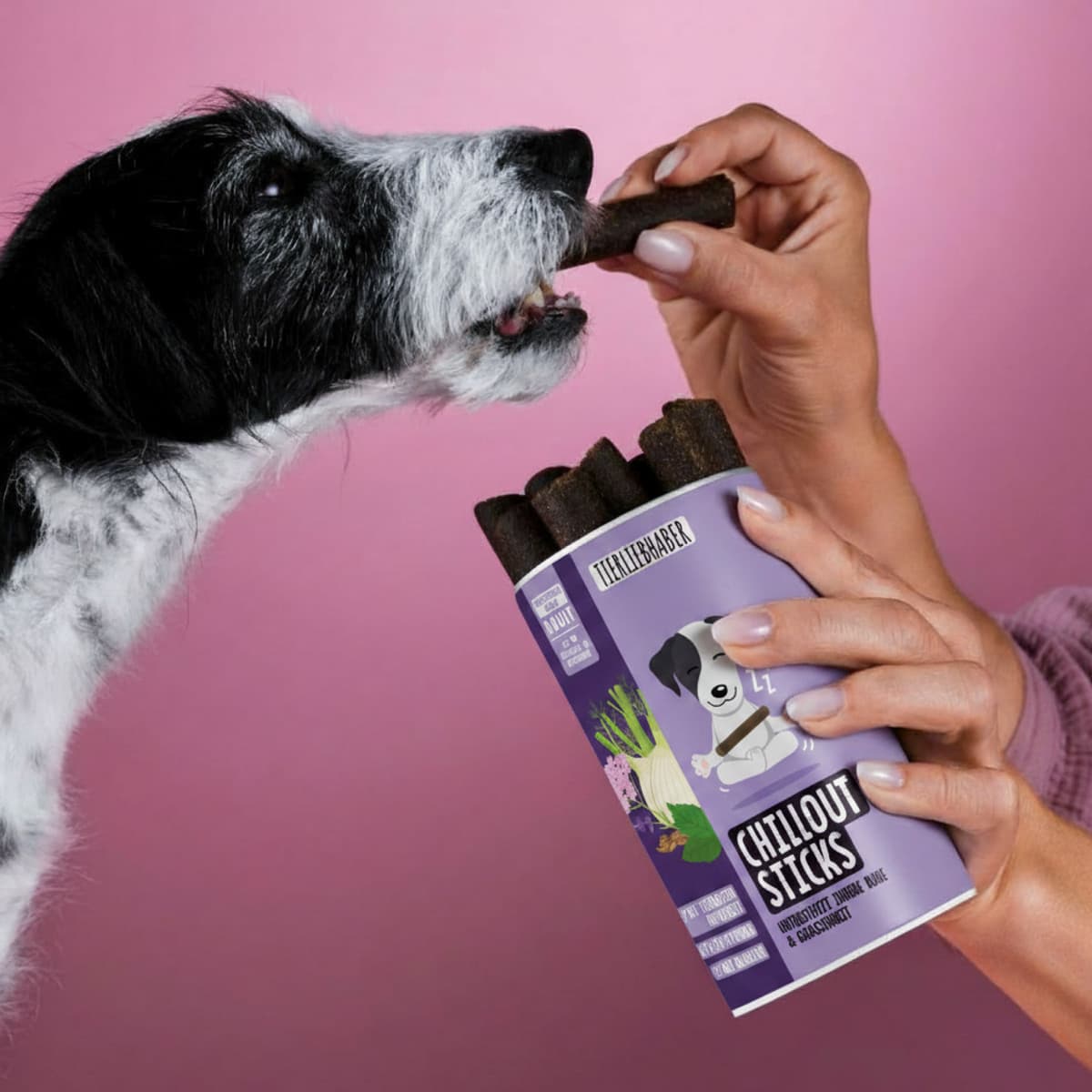 Chillout Sticks für Hunde – Natürliche Hilfe bei Stress & Unruhe
