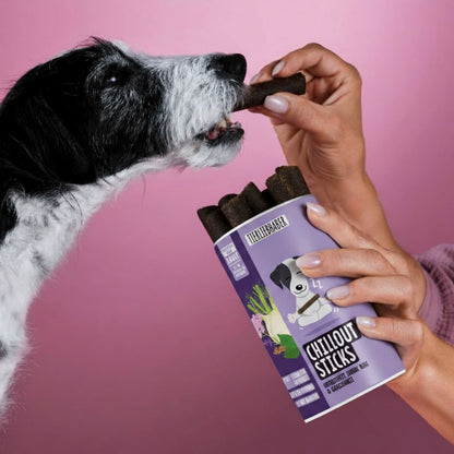 Chillout Sticks für Hunde – Natürliche Hilfe bei Stress & Unruhe