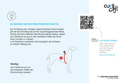 Belka-Geschirr Air Mesh Sonderkollektion 2026 - Juicy Fruit