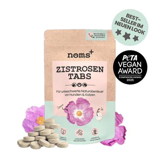 Zistrosen Tabs - natürliches Zistrosen-Leckerli zur Saison
