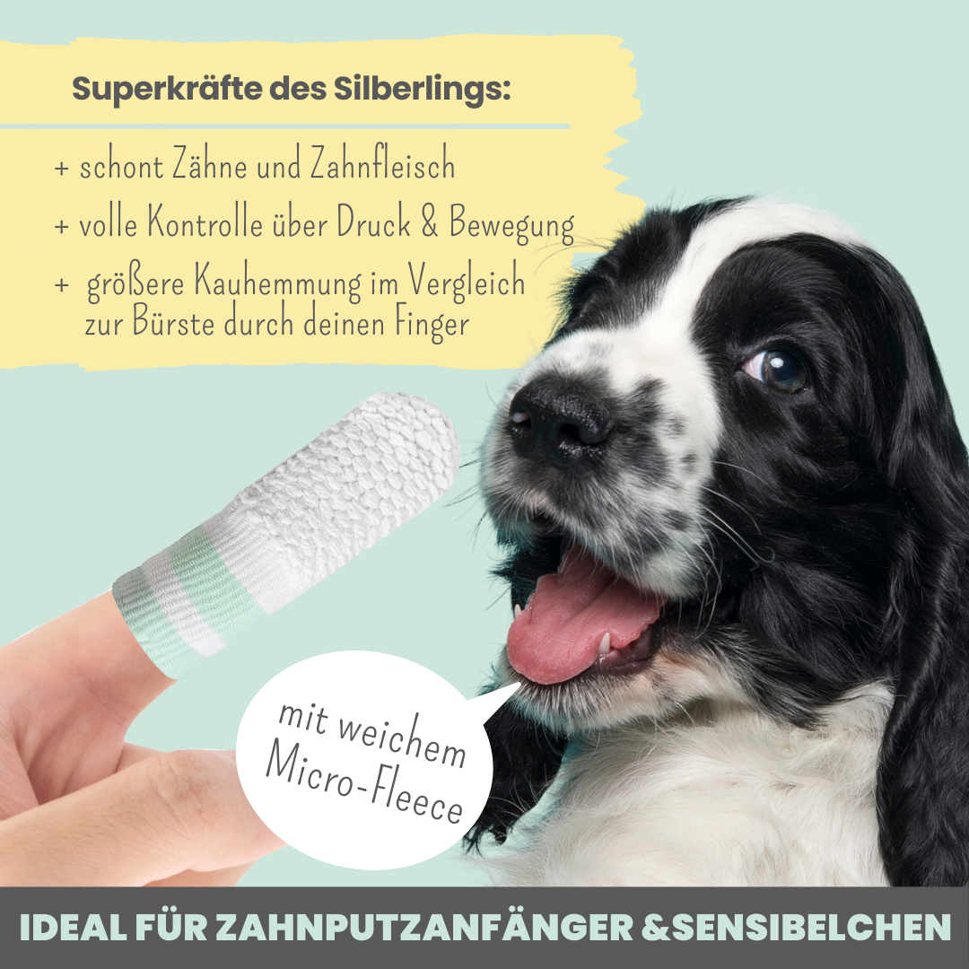 Silberling: Antibakterieller Zahnpflege-Fingerling für Hunde
