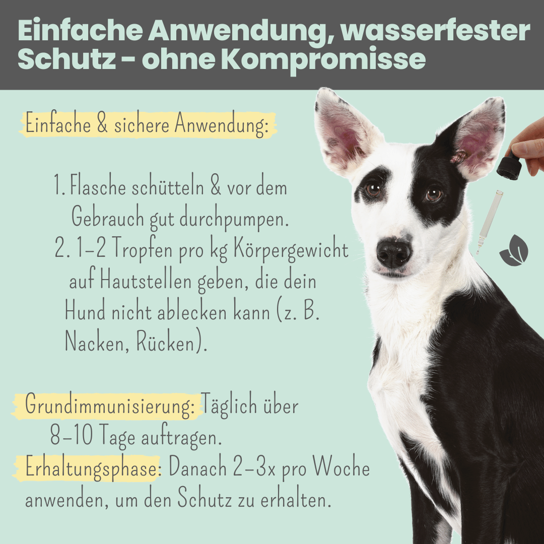 Wasserfestes Zpot-on Forte für Hunde gegen Zecken, Flöhe, Milben & Mücken