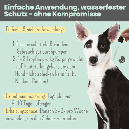 Wasserfestes Zpot-on Forte für Hunde gegen Zecken, Flöhe, Milben & Mücken