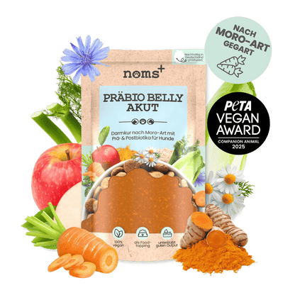 Präbio Belly Akut: Vegane, pflanzenbasierte Darmkur für Hunde nach Moro-Art