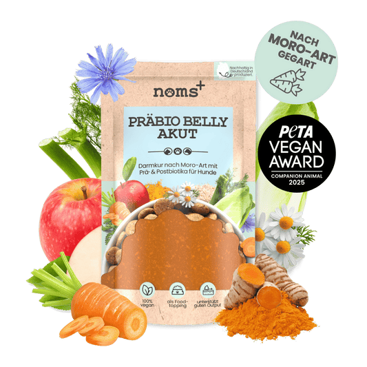 Präbio Belly Akut: pflanzenbasierte Darmkur für Hunde nach Moro-Art