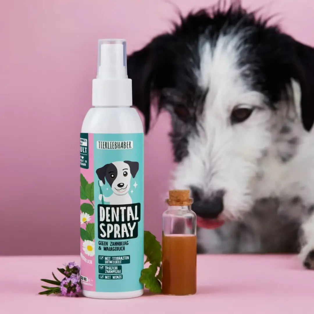 Dentalspray für Hunde & Katzen