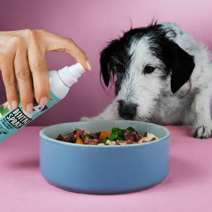 Dentalspray für Hunde & Katzen