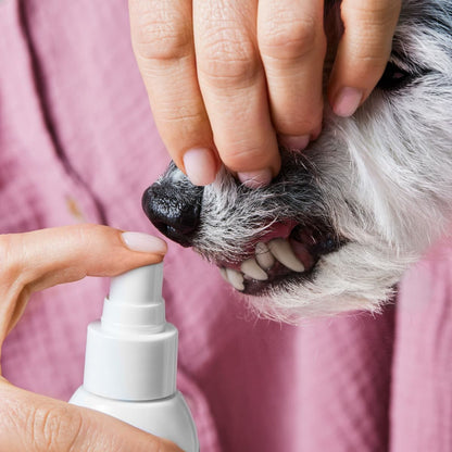 Dentalspray für Hunde & Katzen