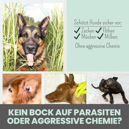 'Zpray' Zeckenspray für Hunde gegen Zecken, Flöhe, Milben & Mücken