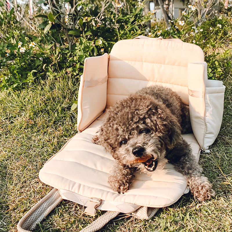 Convertible carrier bag for dogs