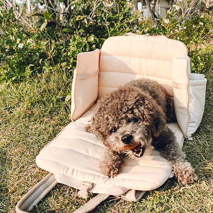 Convertible carrier bag for dogs