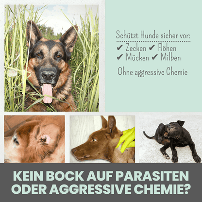 Zpot-on für Hunde gegen Zecken, Flöhe, Milben & Mücken