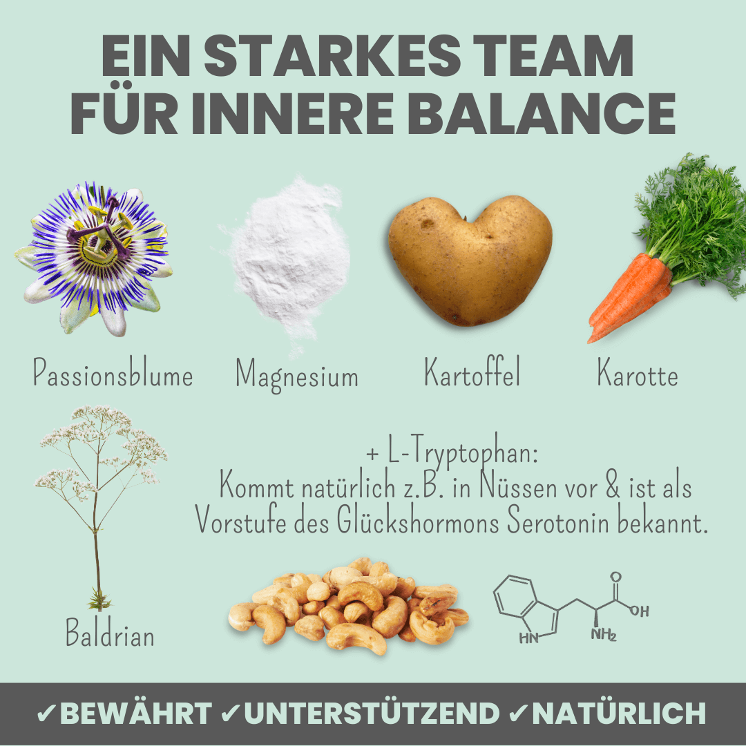 Wohlfühlsnacks für Hunde bei Stress, Angst & Unruhe