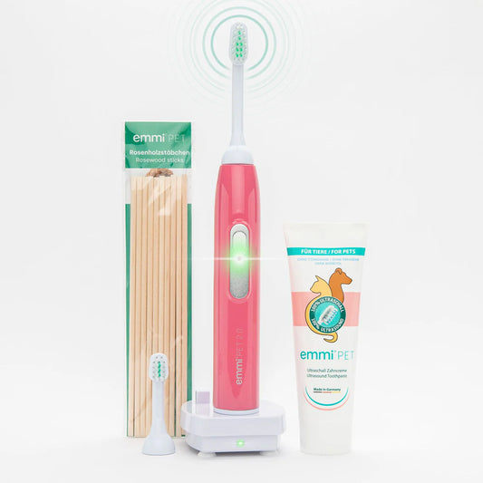 Ultraschall-Hunde-Zahnbürste Basis-Set - Rosa