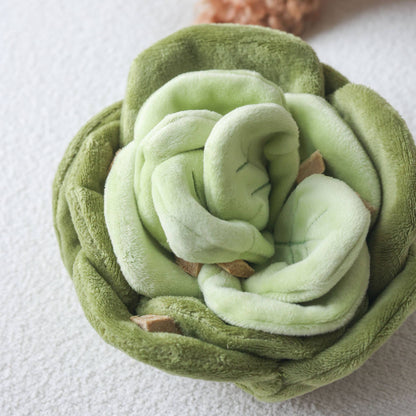 Sniffing toy - Sniffing cabbage