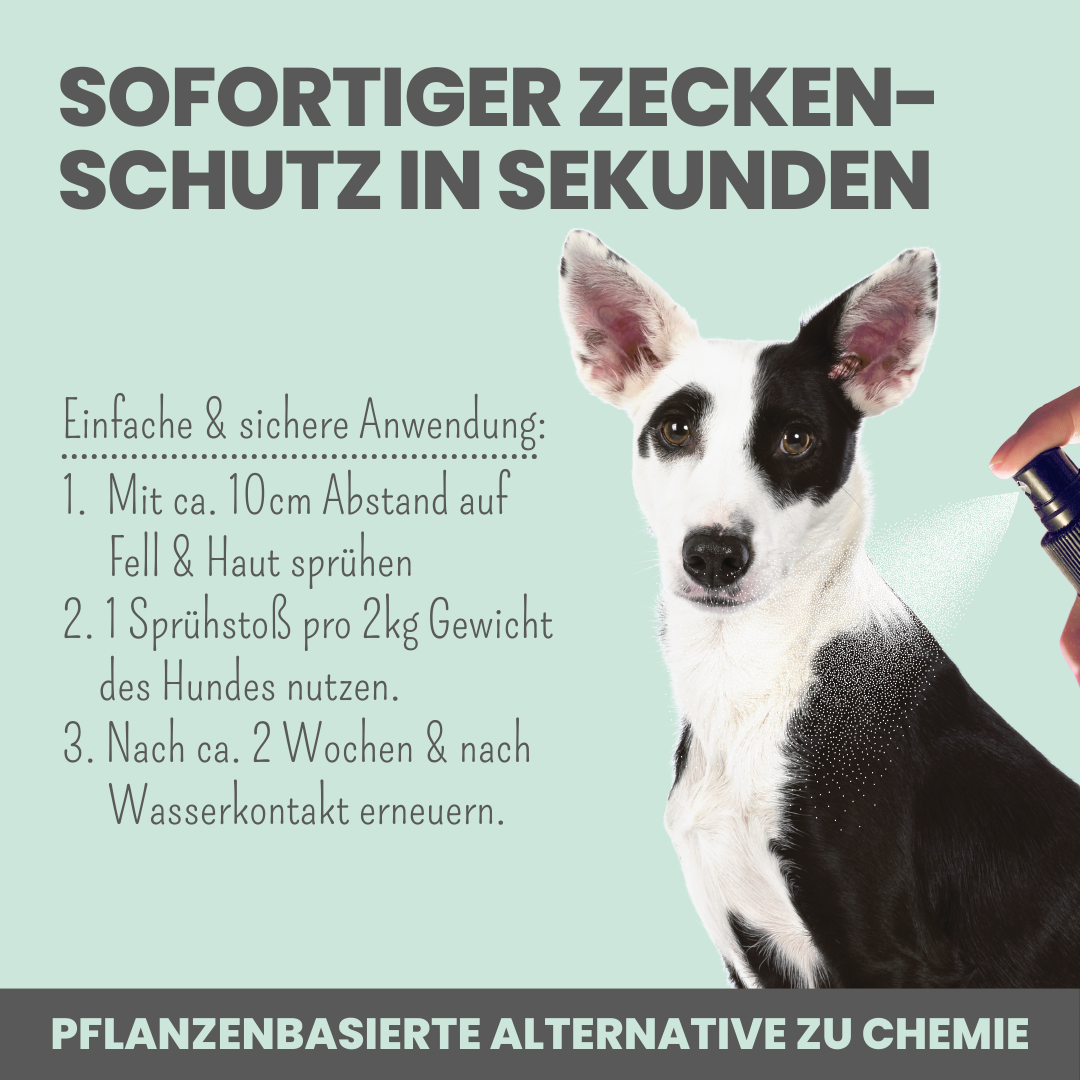 'Zpray' Zeckenspray für Hunde gegen Zecken, Flöhe, Milben & Mücken