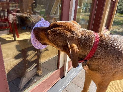 Leckmatte mit Saugnäpfen - Lotus