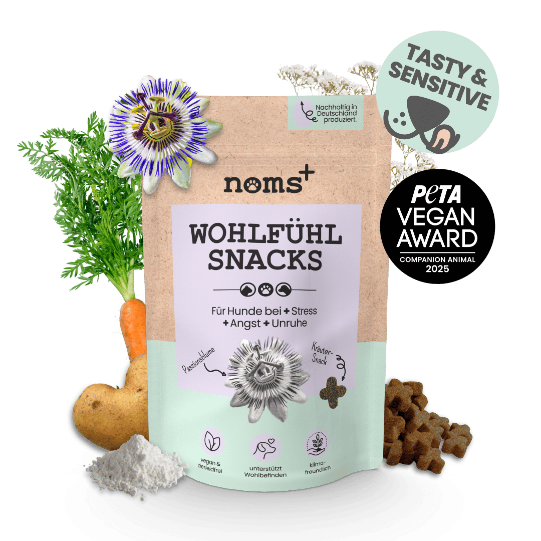 Wohlfühlsnacks für Hunde bei Stress, Angst & Unruhe